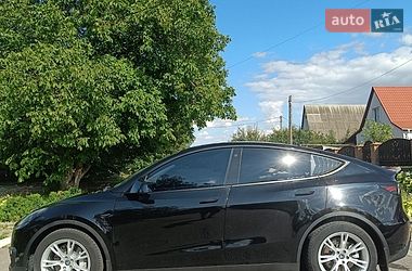 Внедорожник / Кроссовер Tesla Model Y 2023 в Сквире