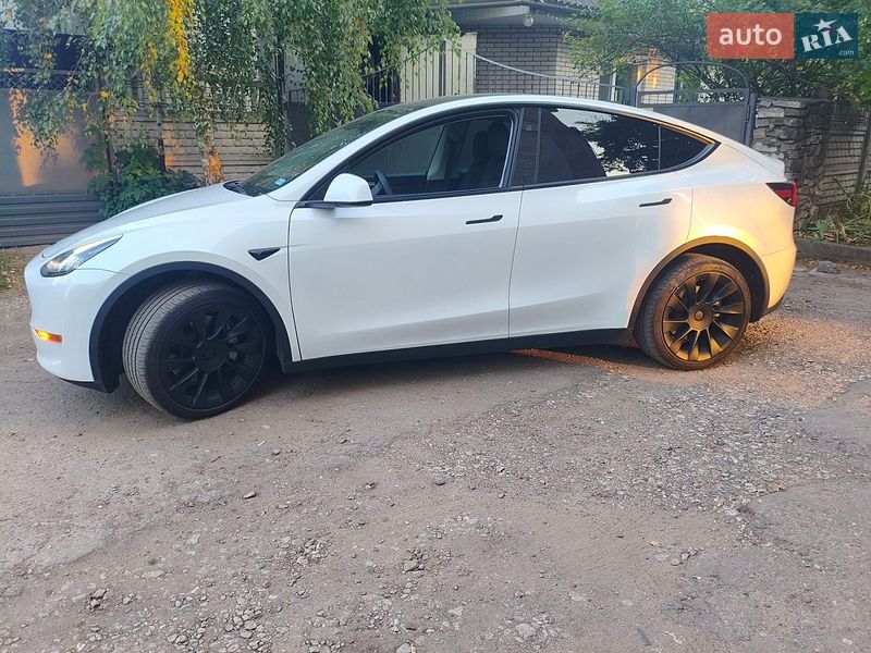 Внедорожник / Кроссовер Tesla Model Y 2024 в Могилев-Подольске