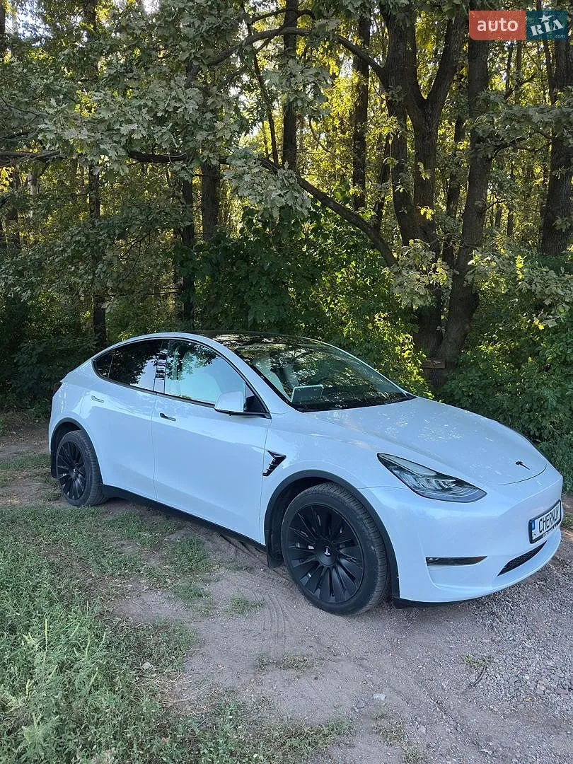 2021 Tesla Model Y - мініатюра 3