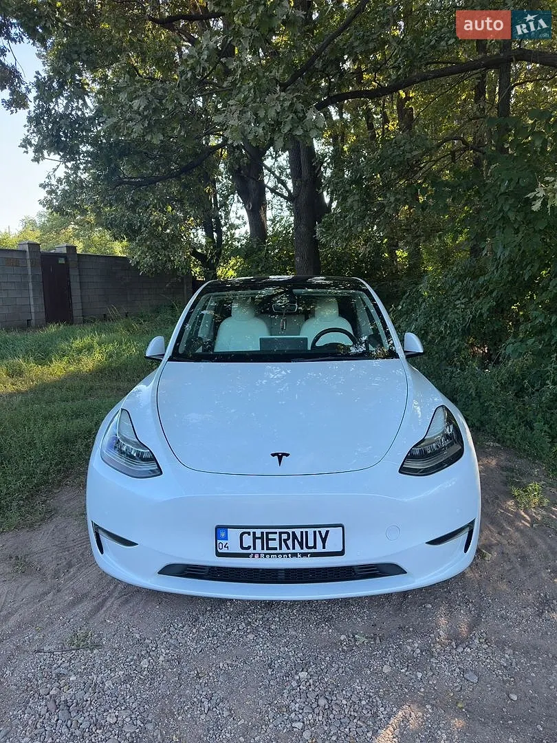 2021 Tesla Model Y - мініатюра 2