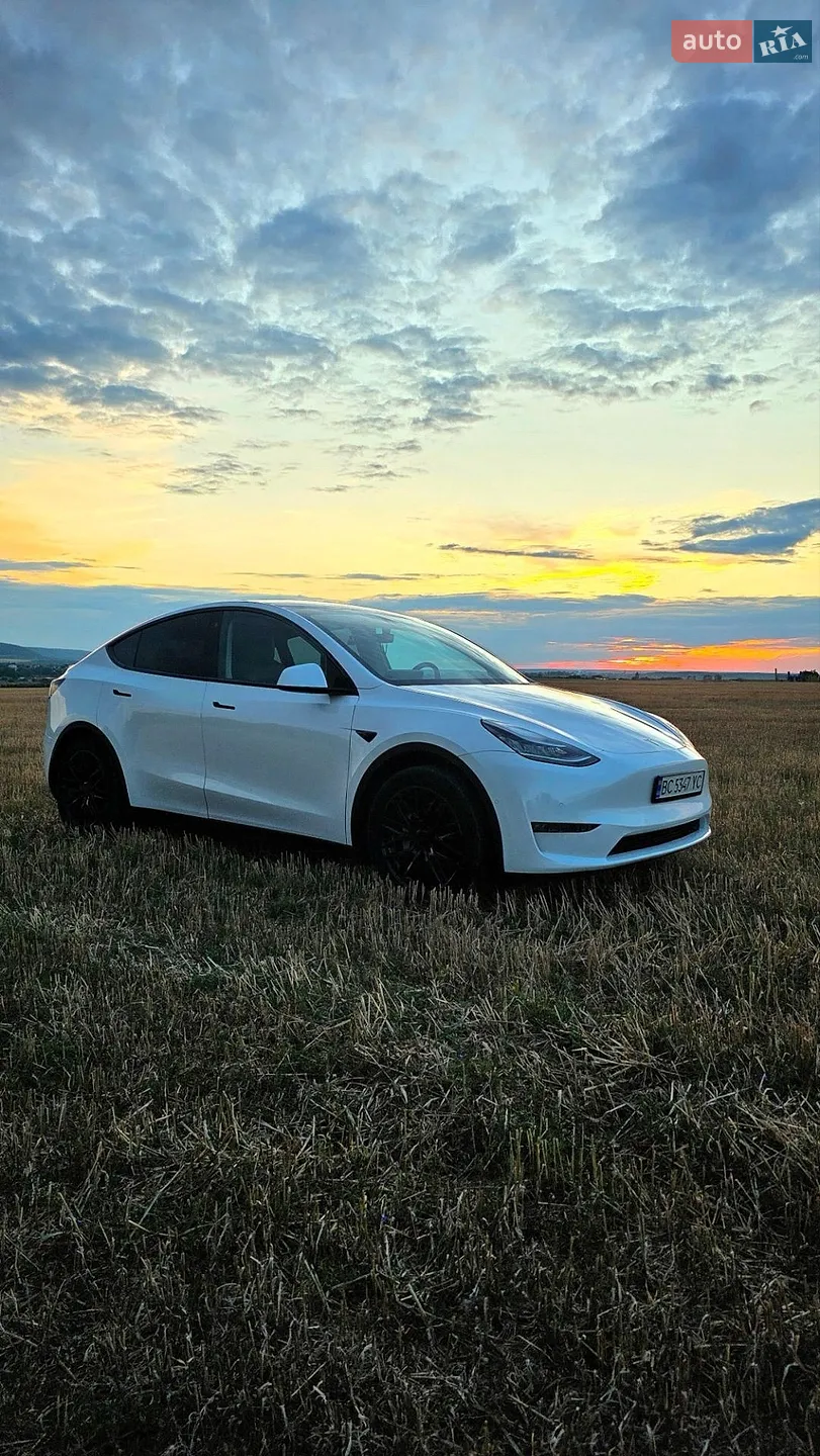 2020 Tesla Model Y - фото 1