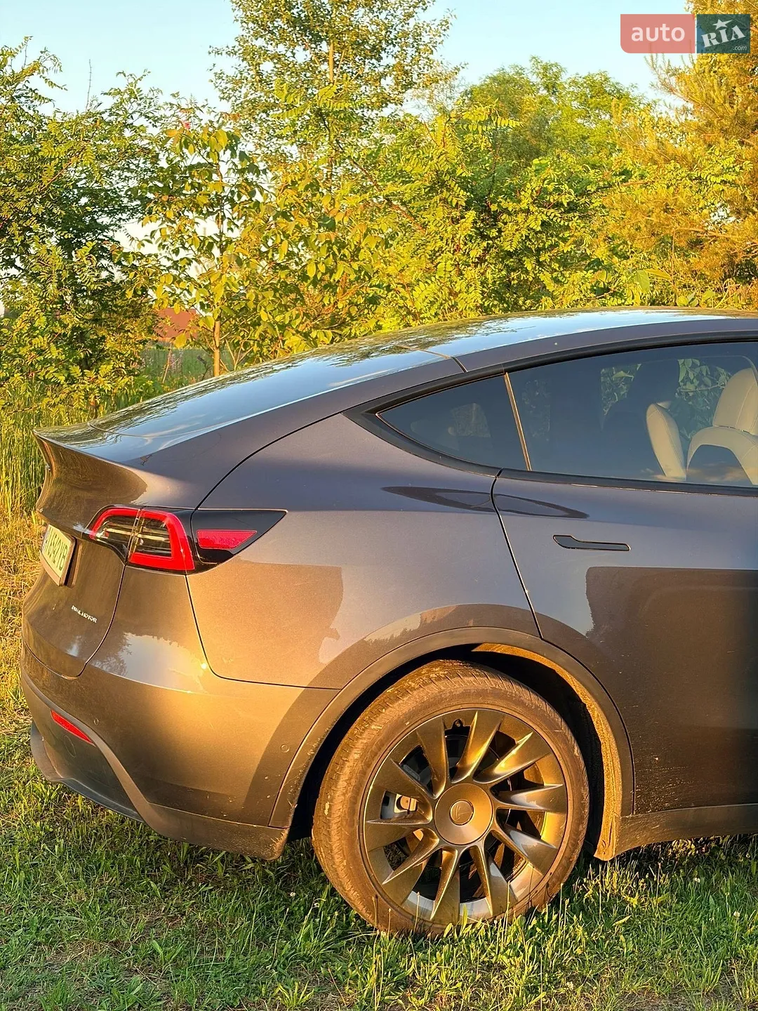 2021 Tesla Model Y - мініатюра 3