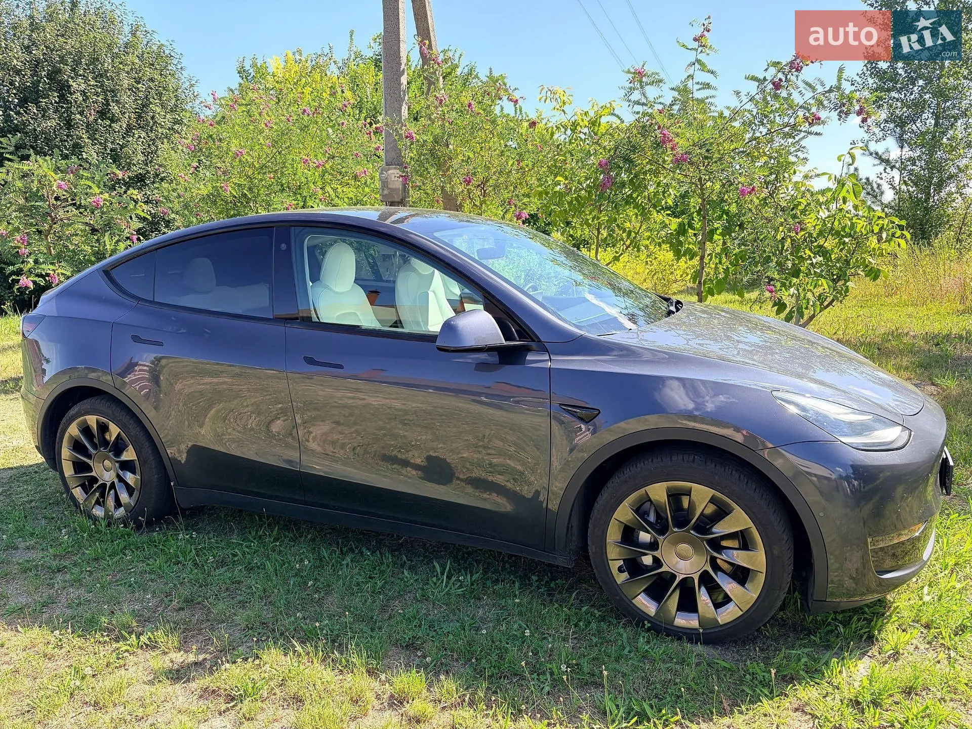 2021 Tesla Model Y - мініатюра 2