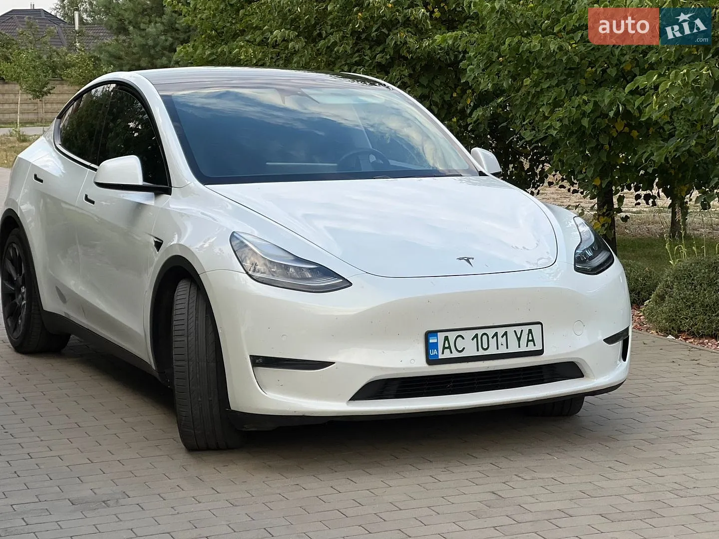 2020 Tesla Model Y - фото 1