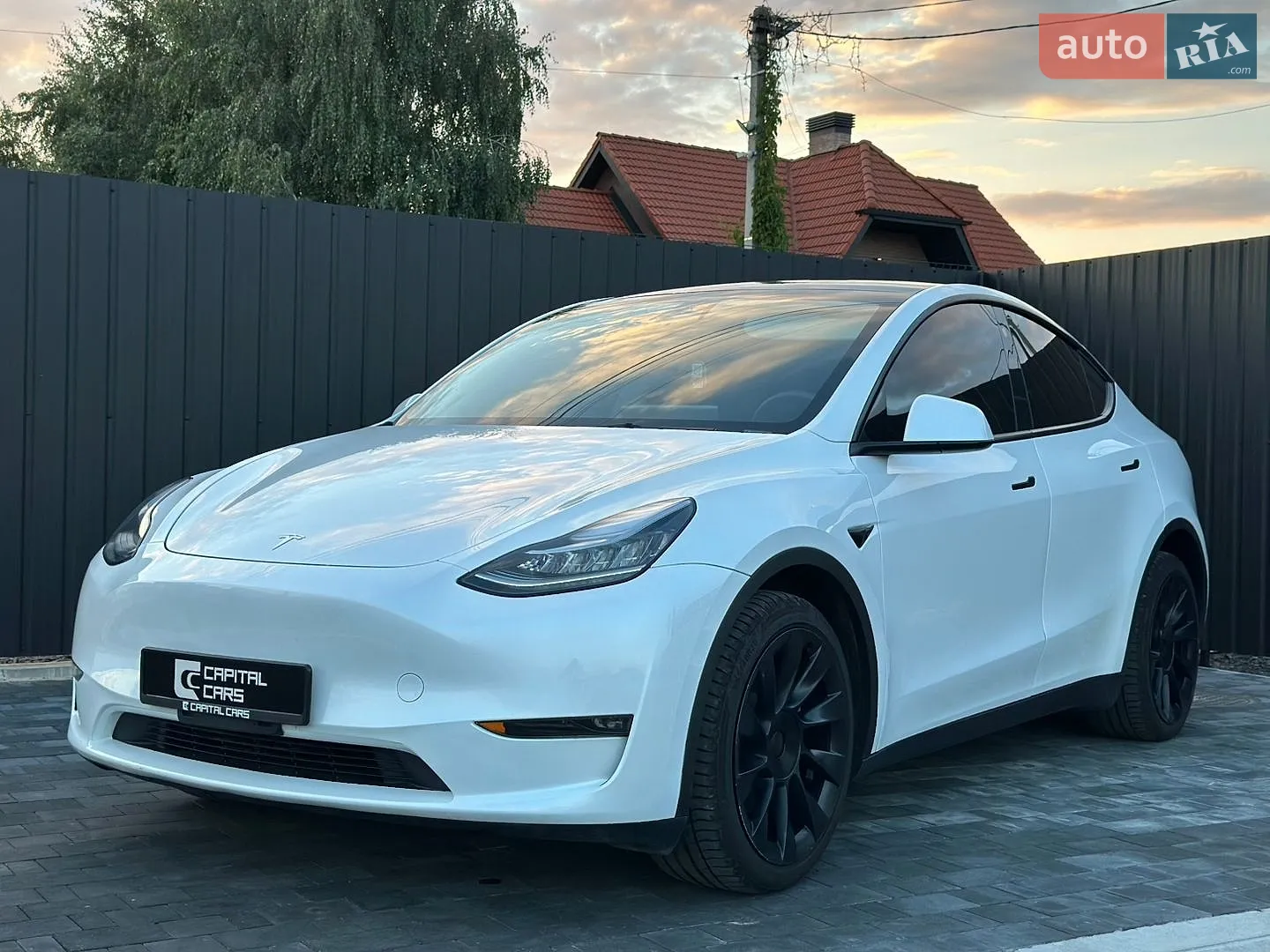 2023 Tesla Model Y - фото 1