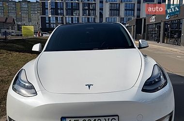 Позашляховик / Кросовер Tesla Model Y 2021 в Івано-Франківську