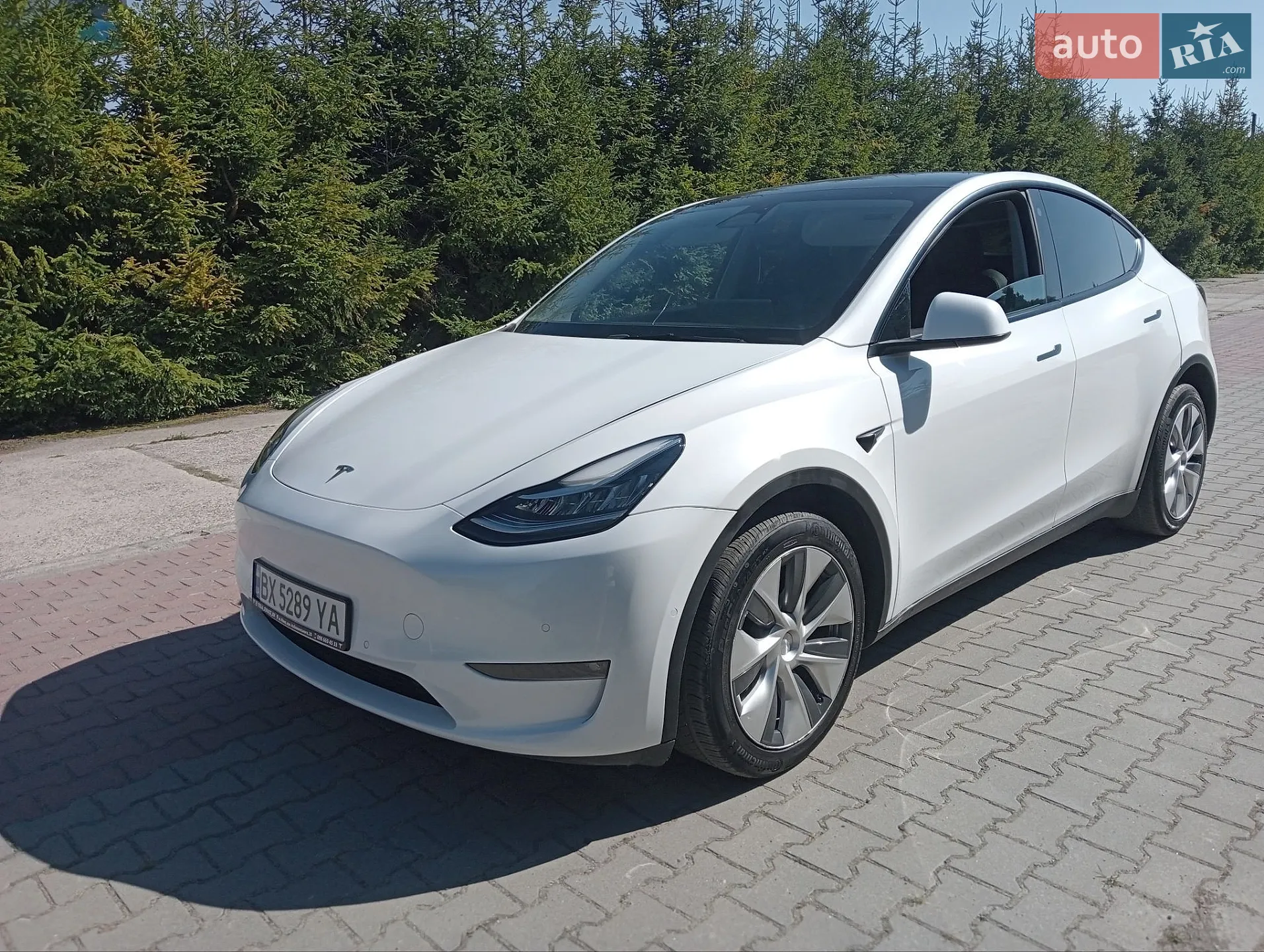 2021 Tesla Model Y - мініатюра 14