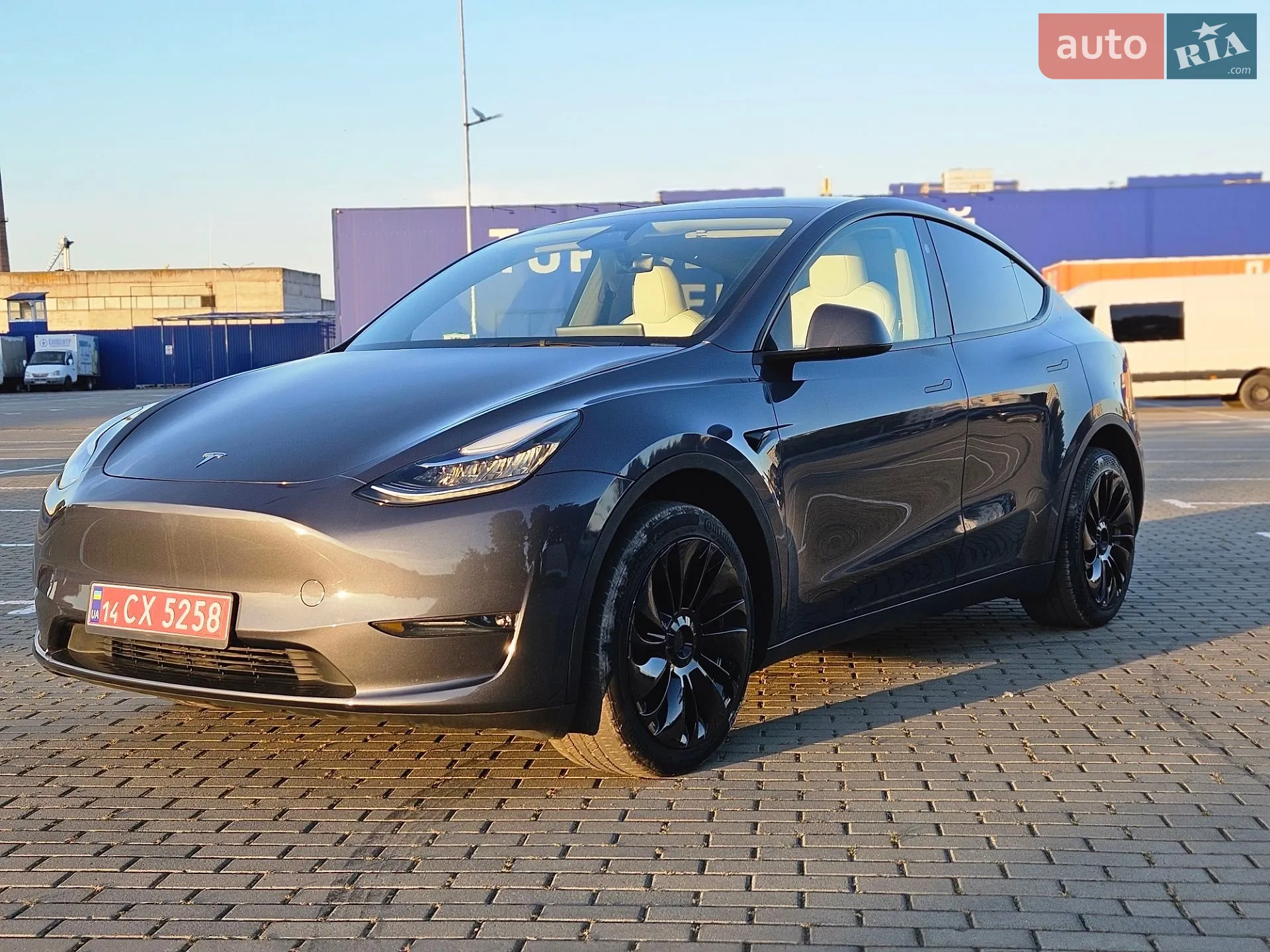 2023 Tesla Model Y - фото 1