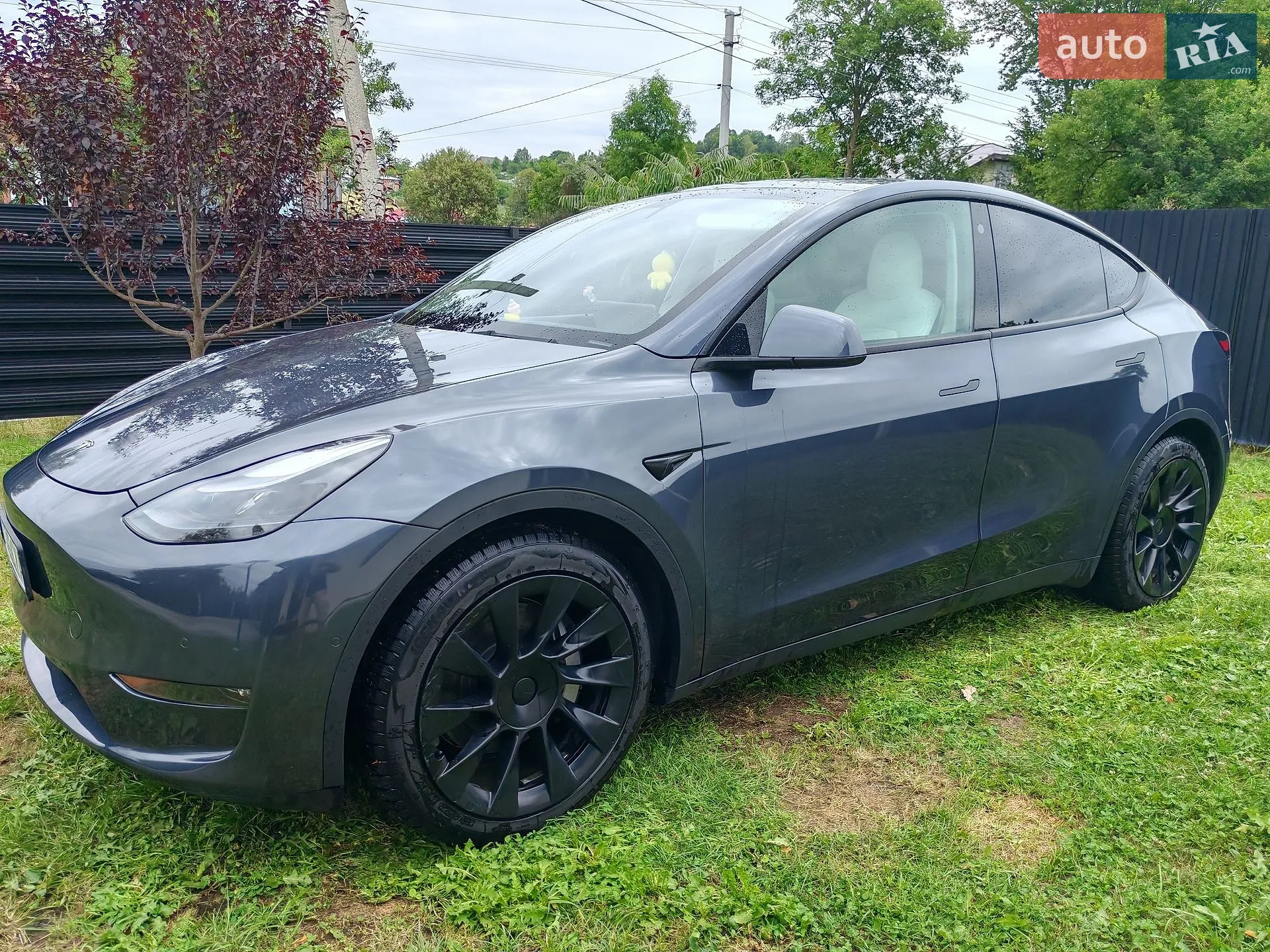 2022 Tesla Model Y - мініатюра 3