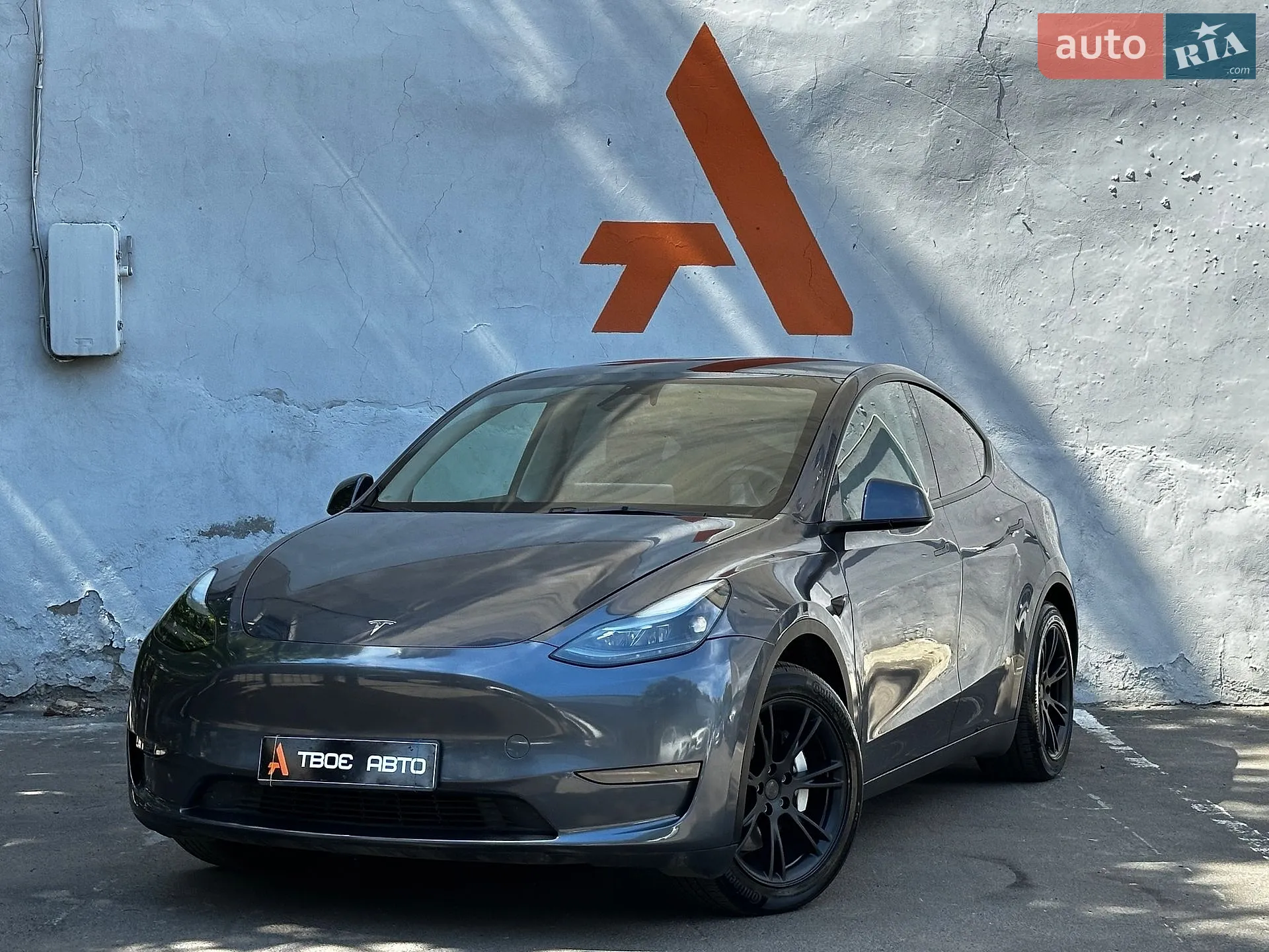 2023 Tesla Model Y - фото 1