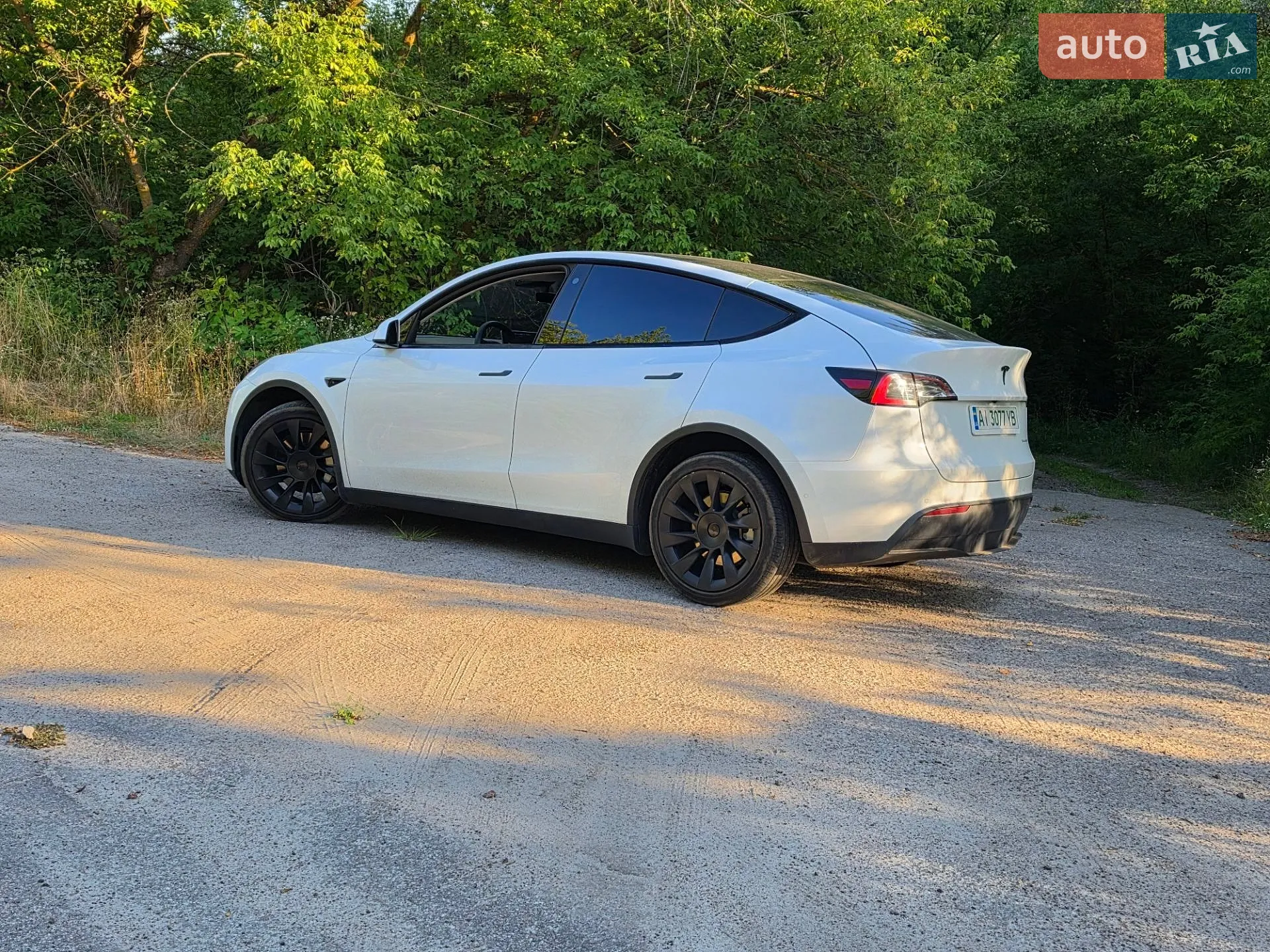 2021 Tesla Model Y - мініатюра 18