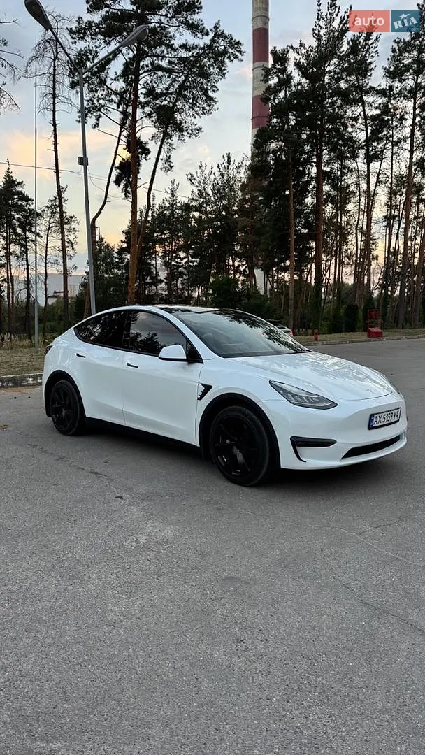 2021 Tesla Model Y - мініатюра 3