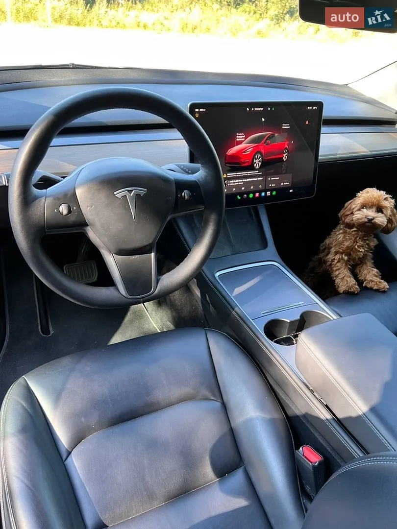 2022 Tesla Model Y - мініатюра 10