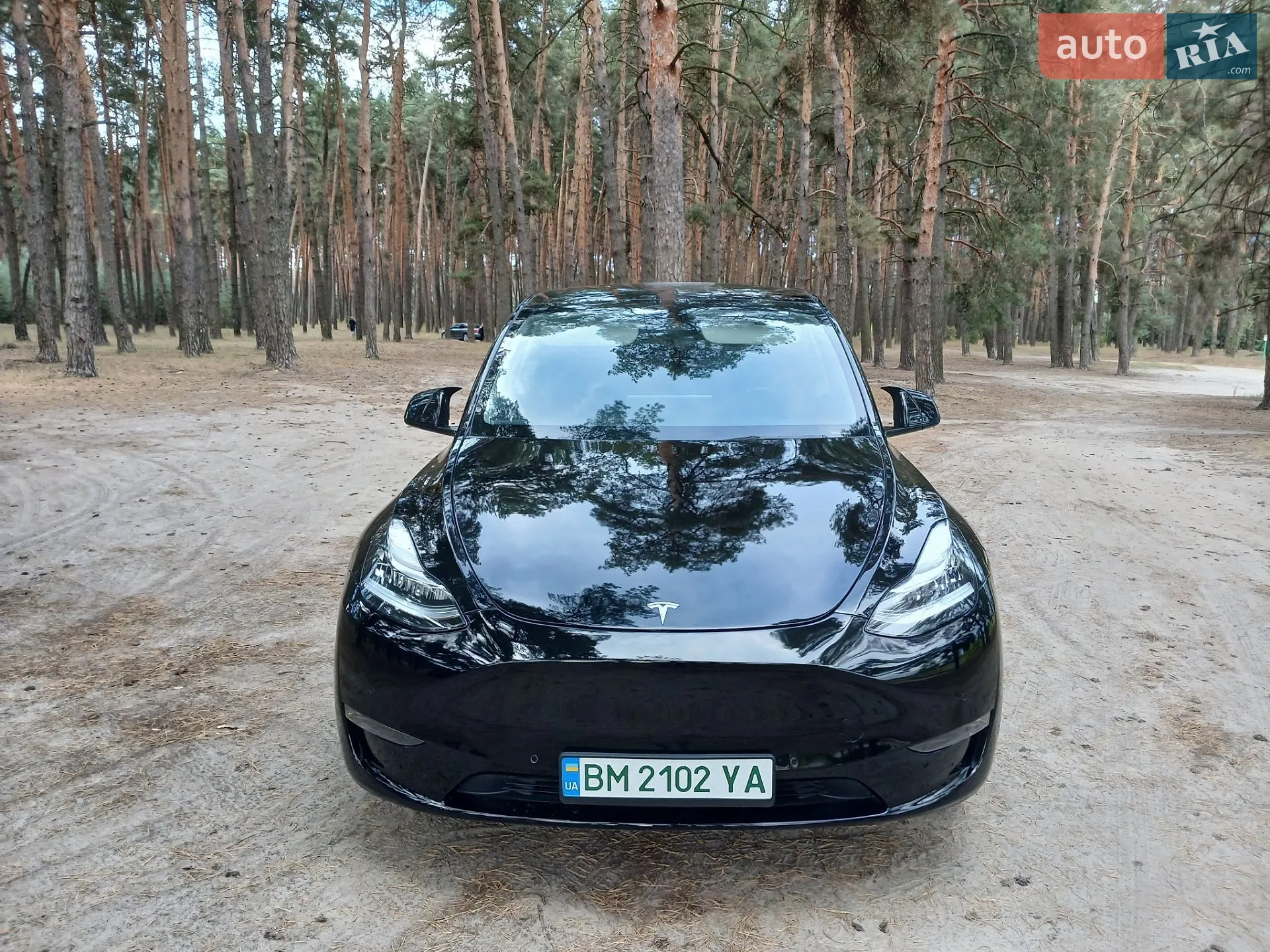 2022 Tesla Model Y - мініатюра 2