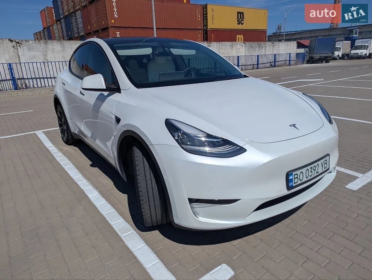 2021 Tesla Model Y - фото 1