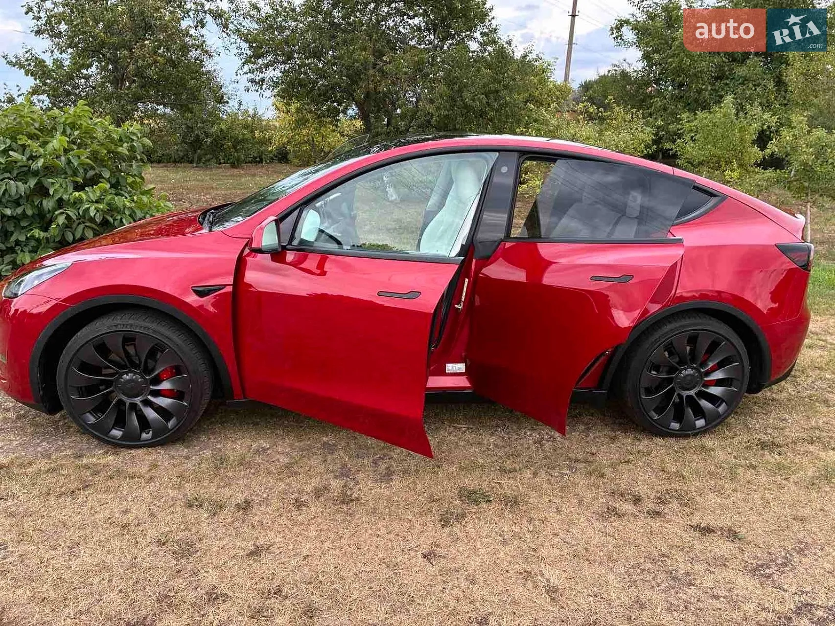 2023 Tesla Model Y - мініатюра 5
