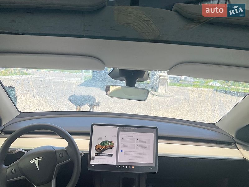 Позашляховик / Кросовер Tesla Model Y 2024 в Хмельницькому