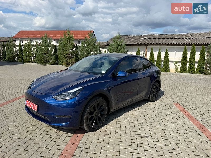 Внедорожник / Кроссовер Tesla Model Y 2023 в Золочеве