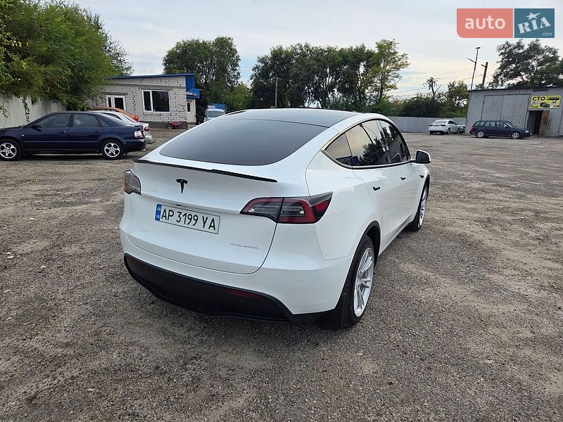 Внедорожник / Кроссовер Tesla Model Y 2023 в Запорожье
