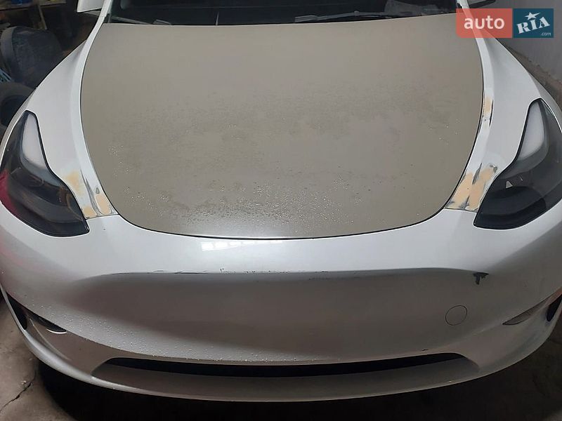 Внедорожник / Кроссовер Tesla Model Y 2023 в Запорожье