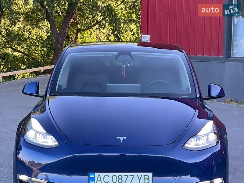 Позашляховик / Кросовер Tesla Model Y 2023 в Луцьку