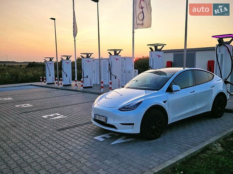 Позашляховик / Кросовер Tesla Model Y 2020 в Луцьку