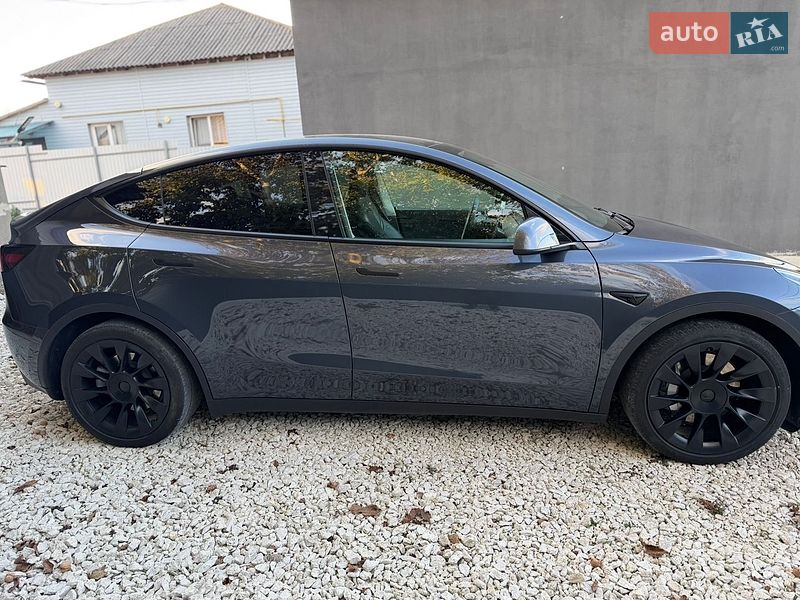 Внедорожник / Кроссовер Tesla Model Y 2021 в Калиновке