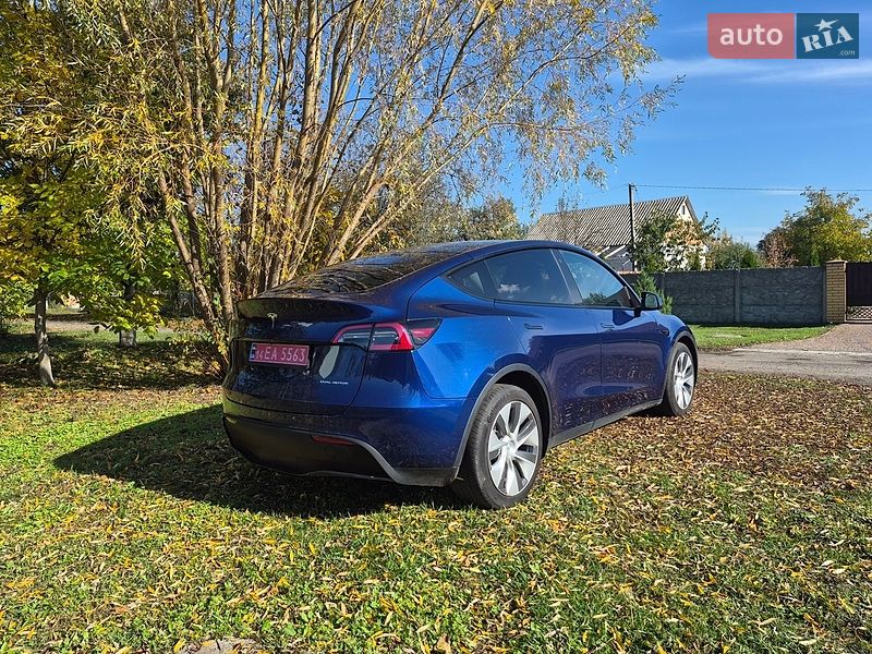 Внедорожник / Кроссовер Tesla Model Y 2022 в Барышевке