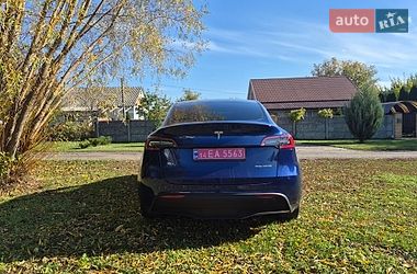 Внедорожник / Кроссовер Tesla Model Y 2022 в Барышевке