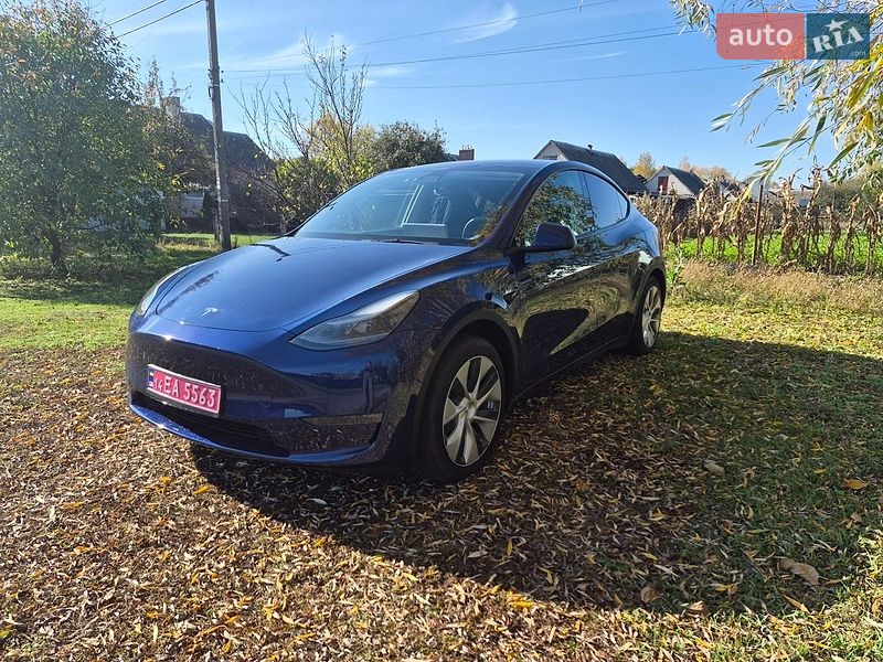 Внедорожник / Кроссовер Tesla Model Y 2022 в Барышевке