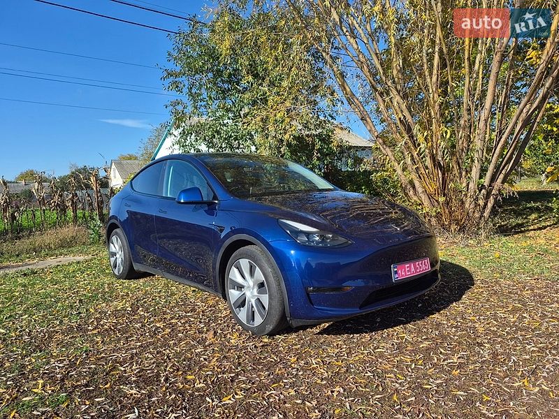 Внедорожник / Кроссовер Tesla Model Y 2022 в Барышевке