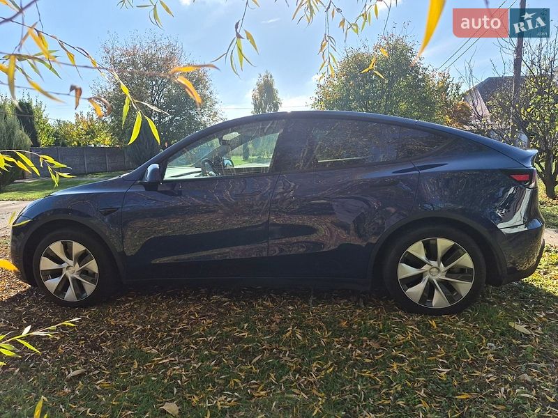 Внедорожник / Кроссовер Tesla Model Y 2022 в Барышевке