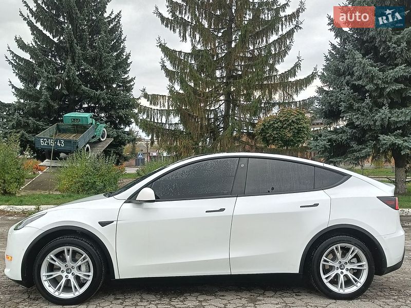 Внедорожник / Кроссовер Tesla Model Y 2022 в Сквире