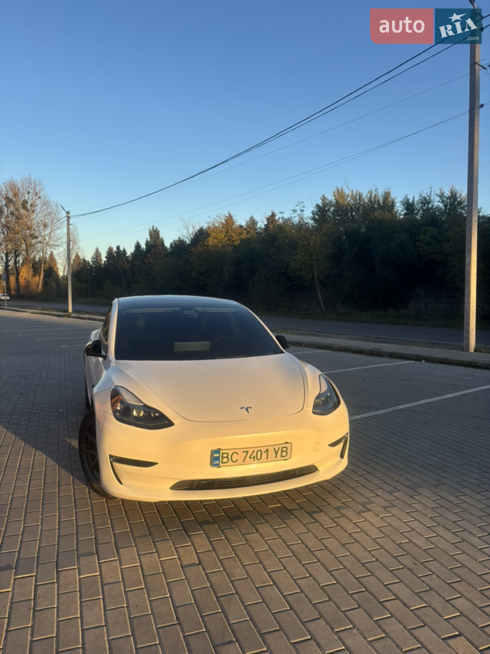 2021 Tesla Model 3 - мініатюра 20