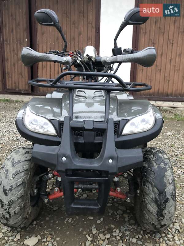 Tiger 50 2020