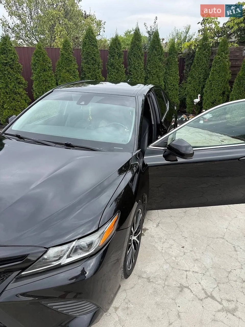 2019 Toyota Camry - мініатюра 2
