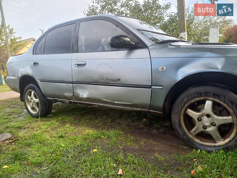 Седан Toyota Corolla 1993 в Березовке фото 2 Седан Toyota Corolla 1993 в Березовке