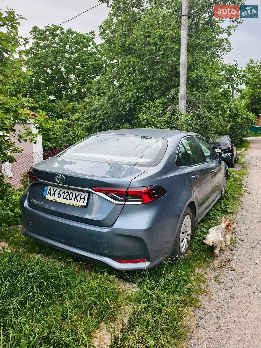 Toyota Corolla 2019 VIN NMTBE4BE90R026134 фото оголошення 13 з 14