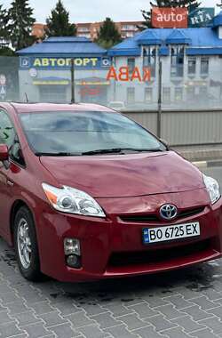 Хетчбек Toyota Prius 2010 в 