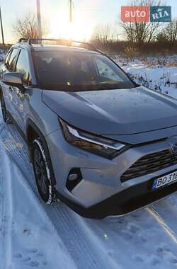 Внедорожник / Кроссовер Toyota RAV4 EV 2024 в Тернополе
