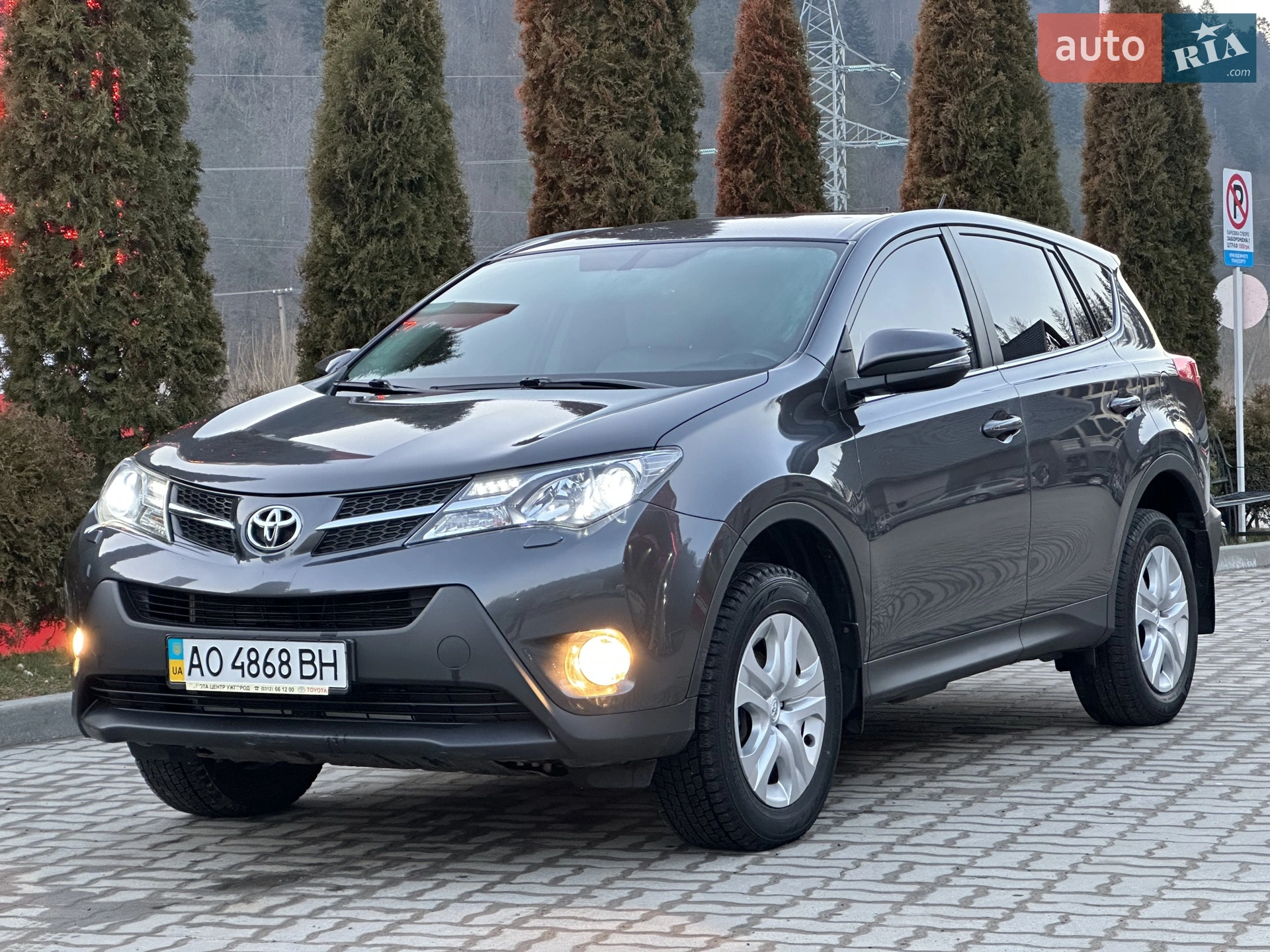 2014 Toyota RAV 4 - мініатюра 9