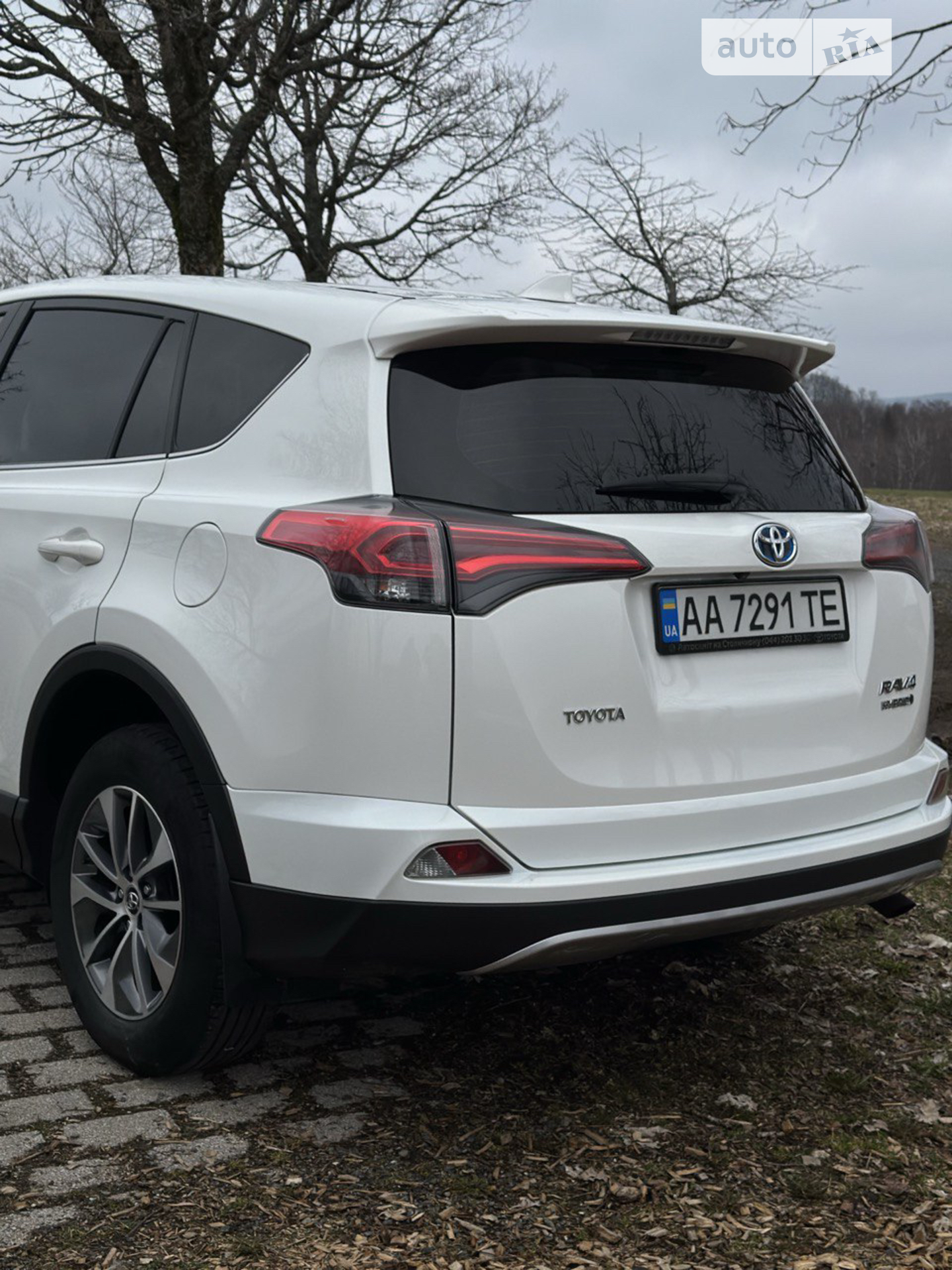 2017 Toyota RAV 4 - мініатюра 3