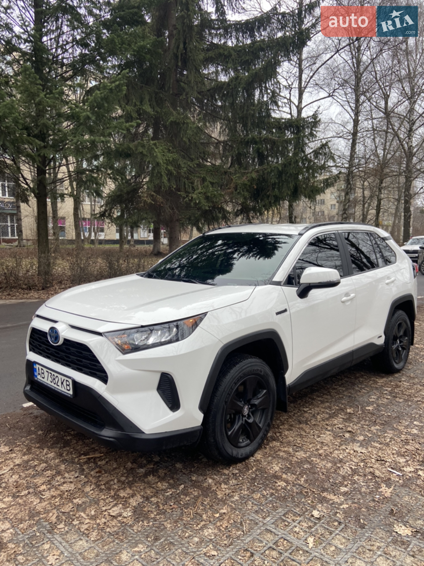 2019 Toyota RAV 4 - мініатюра 2