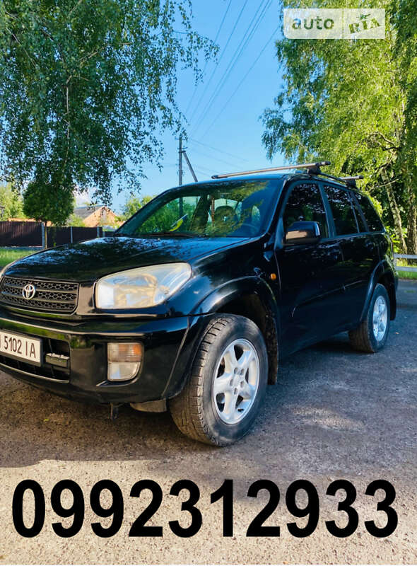 Внедорожник / Кроссовер Toyota RAV4 2003 в Лубнах