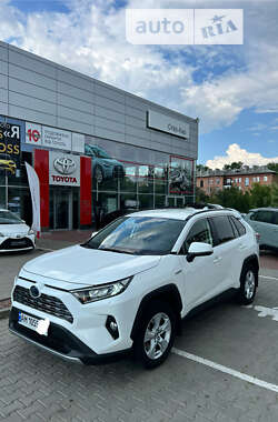 Позашляховик / Кросовер Toyota RAV4 2020 в Житомирі