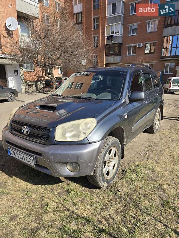 Внедорожник / Кроссовер Toyota RAV4 2004 в Котельве