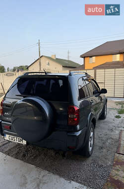 Внедорожник / Кроссовер Toyota RAV4 2004 в 