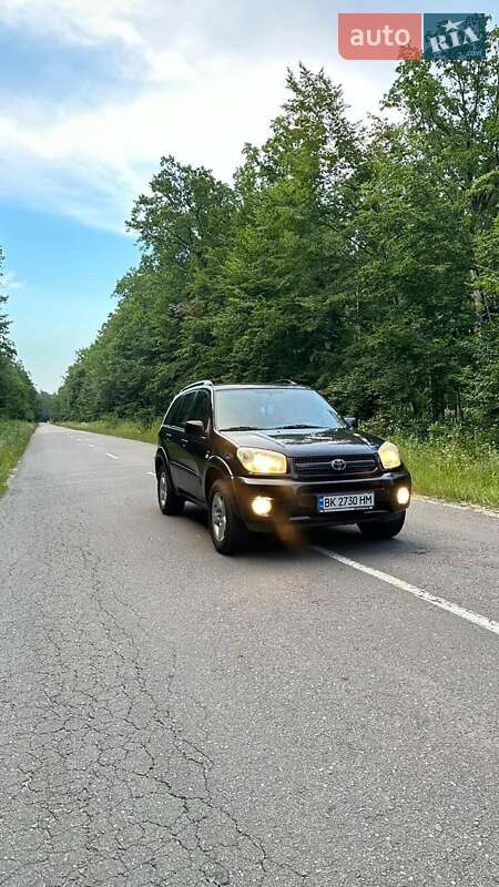 Внедорожник / Кроссовер Toyota RAV4 2004 в Дубно