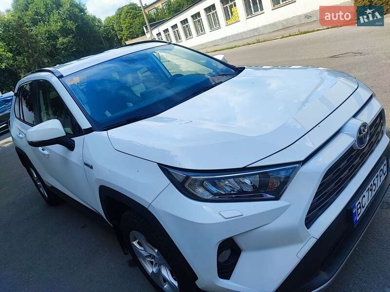 Позашляховик / Кросовер Toyota RAV4 2019 в Києві