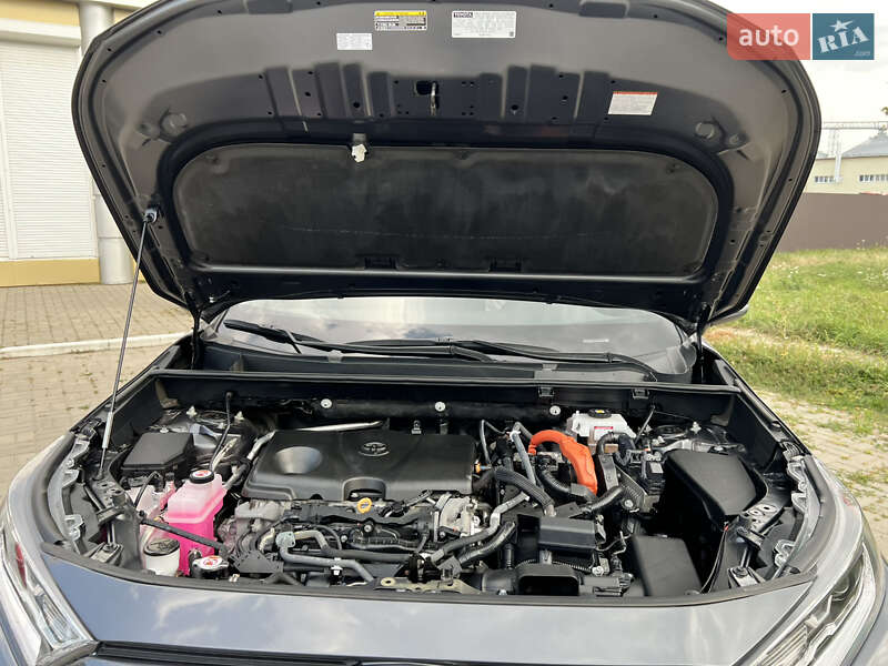 Позашляховик / Кросовер Toyota RAV4 2021 в Умані фото 29 Позашляховик / Кросовер Toyota RAV4 2021 в Умані